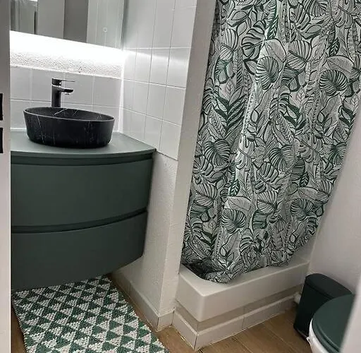 Cosy Moderne Chaleureux Equipe Proche Tram Lejlighed Talence